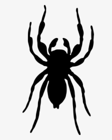 Tangleweb Spider,stencil,spider - Jumping Spider Silhouette Transparent, HD Png Download, Transparent PNG