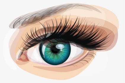 Human Eye Euclidean Vector Clip Art - Eyes Vector, HD Png Download, Transparent PNG