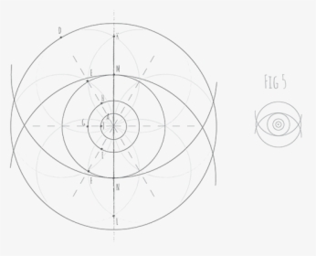 How To Draw A Human Eye Fig - Circle, HD Png Download, Transparent PNG