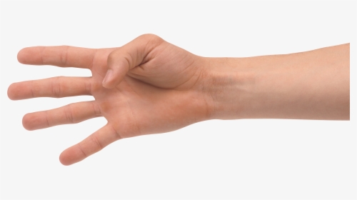 Four Finger Hand - Transparent 4 Finger Hand Png, Png Download, Transparent PNG