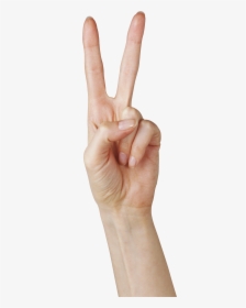 Two Finger Hand - 2 In Hands, HD Png Download, Transparent PNG