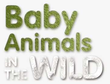 Transparent Baby Animals Png - Graphics, Png Download, Transparent PNG