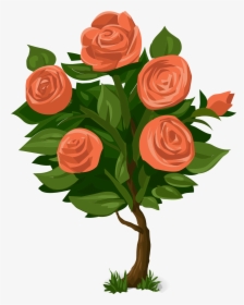 Clip Art Collection Of Free Drawing - Rose Bushes Clip Art, HD Png Download, Transparent PNG