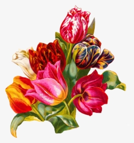 Transparent Botanical Png - Digital Floral Studio Background, Png Download, Transparent PNG