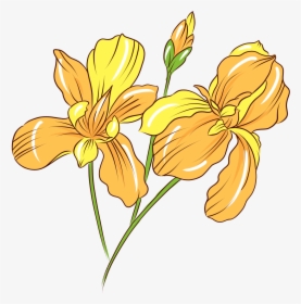 Transparent Botanical Png - Flower, Png Download, Transparent PNG