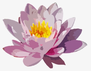 Flower, Floral, Botanical, Plant, Nature, Botany - Lotus Flower Watercolour Png, Transparent Png, Transparent PNG