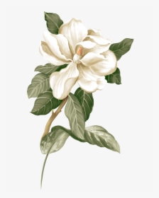 Fresh,creative Gardenia,small Flower Jasmine Illustration - Jasmine Flower Png, Transparent Png, Transparent PNG