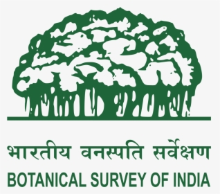Information About Botanical Survey Of India, HD Png Download, Transparent PNG