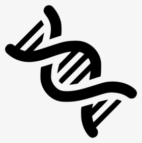 Dna - Genetics Clipart, HD Png Download, Transparent PNG