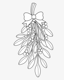 Poinsettia Flower, - Christmas Mistletoe Coloring Pages, HD Png Download, Transparent PNG