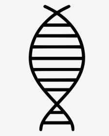 Dna Strand - Science Dna Clipart Black And White, HD Png Download, Transparent PNG
