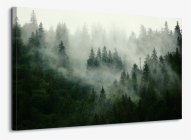 Foggy Forest, HD Png Download, Transparent PNG