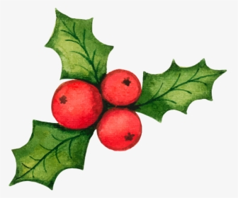 Holly Leaf Christmas Decorations Vector Material Illustration - Christmas Decorations Vector, HD Png Download, Transparent PNG