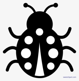 Black Ladybug Cliparts - Cartoon Ladybug, HD Png Download, Transparent PNG