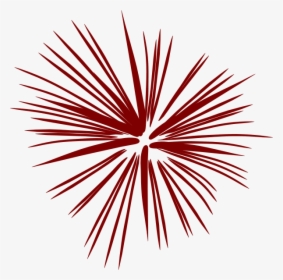 Large Brugundy Fireworks At Vector Png Image Clipart - Transparent Background Red Fireworks, Png Download, Transparent PNG