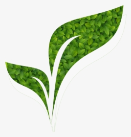 Ancient Practice Modern Healthcare - Transparent Green Logo Png, Png Download, Transparent PNG