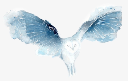 Transparent Owl Flying Png - Watercolor Galaxy Owl, Png Download, Transparent PNG