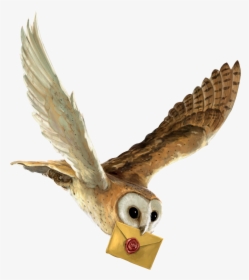Harry Potter And The Philosopher S Stone Owl Hedwig - Harry Potter Owl Flying, HD Png Download, Transparent PNG