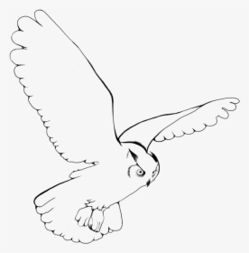 Snowy Owl Bird Drawing Clip Art - Snowy Owl Flying Drawing, HD Png Download, Transparent PNG