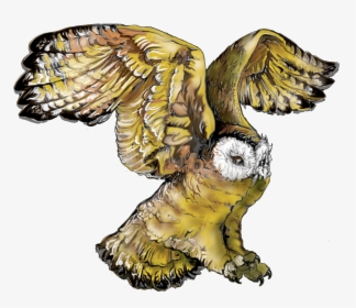 - Owl , Png Download - Owl, Transparent Png, Transparent PNG