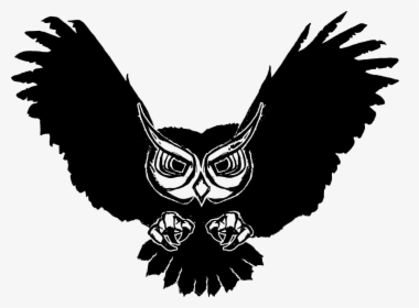 Mean Owl Clip Art, HD Png Download, Transparent PNG