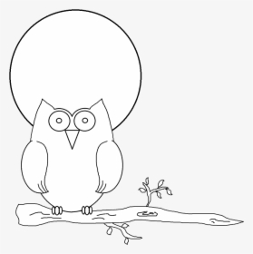 Snowy Owl Clipart Branch - Cartoon, HD Png Download, Transparent PNG