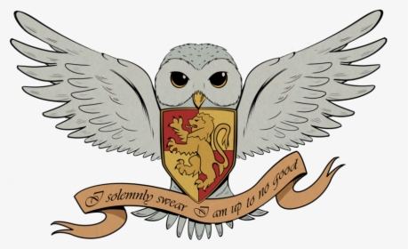 Harry Potter And The Deathly Hallows Hedwig Drawing - Cartoon Harry Potter Hedwig, HD Png Download, Transparent PNG