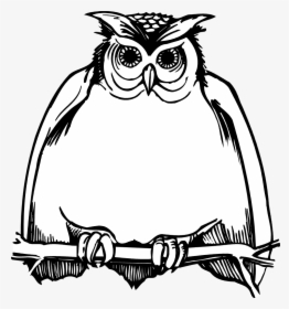 Owl Clipart Black And White, HD Png Download, Transparent PNG