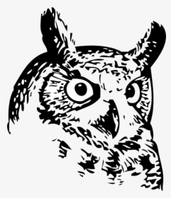 Colorado River Collegiate Academy Owl, HD Png Download, Transparent PNG