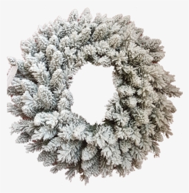 Jr Prince Flock Wreath - White Christmas Wreath Png, Transparent Png, Transparent PNG