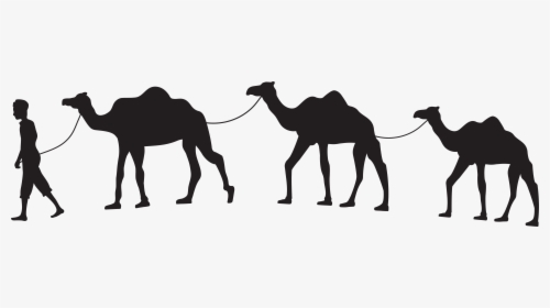 Dromedary Camel Train Silhouette Horse Clip Art - Transparent Background Camel Clipart, HD Png Download, Transparent PNG