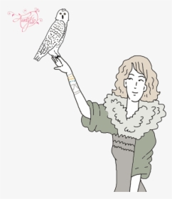 Snowy Owl - Illustration, HD Png Download, Transparent PNG