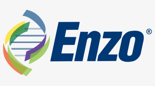 Enzo Logo - Enzo Biochem Logo, HD Png Download, Transparent PNG
