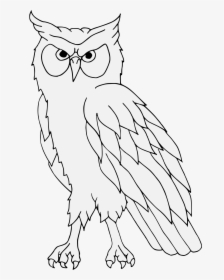 Heraldic Owl Transparent Png, Png Download, Transparent PNG