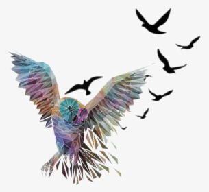 #mq #owl #bird #flying #birds #black - Flying Birds Images White Background, HD Png Download, Transparent PNG