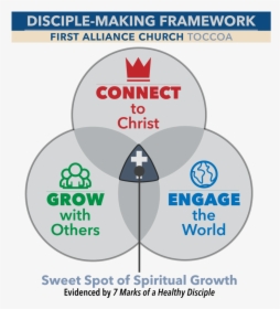 Discipleship Framework-01 - Cartoon Fish On Plate, HD Png Download, Transparent PNG