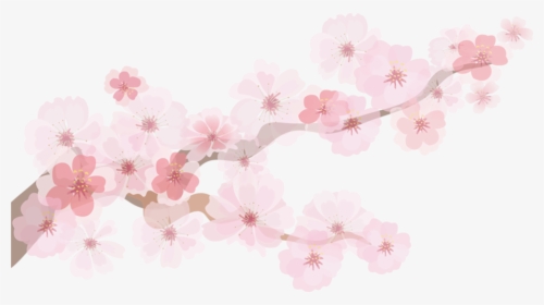 Transparent Cherry Blossom Emoji Png - Cherry Blossom Paper Decoration, Png Download, Transparent PNG