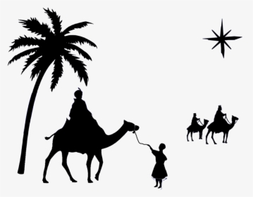 Plant,silhouette,camel - Arabian Camel, HD Png Download, Transparent PNG
