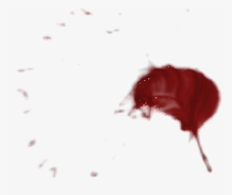Blood Splatter, HD Png Download, Transparent PNG