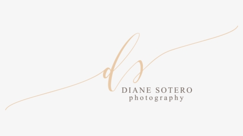 Diane Sotero - Calligraphy, HD Png Download, Transparent PNG