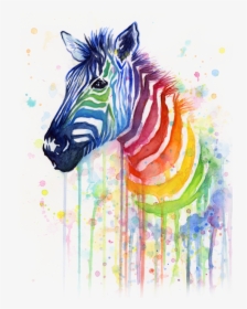 Rainbow Zebra, HD Png Download, Transparent PNG