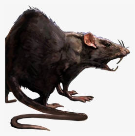 Dead Rat Png - Rat Concept Art, Transparent Png, Transparent PNG