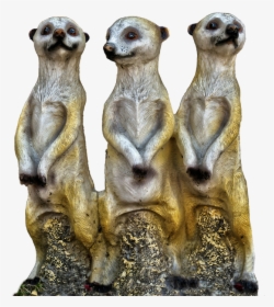 Mongoose Png - Indian Mongoose - Meerkat Ceramic, Transparent Png, Transparent PNG