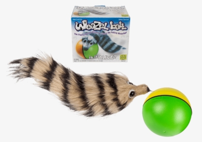 Animal Chase Ball Weasel Ball , Png Download - Weazel Ball, Transparent Png, Transparent PNG