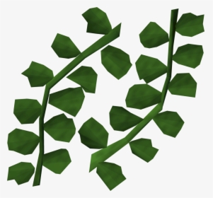 Seaweed Detail - Seaweed Gifs Transparent, HD Png Download, Transparent PNG