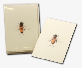Honey Bee Notecard Honeybee Greeting Card - Honeybee, HD Png Download, Transparent PNG