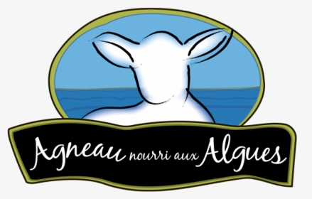 Agneau Nourri Aux Algues, HD Png Download, Transparent PNG