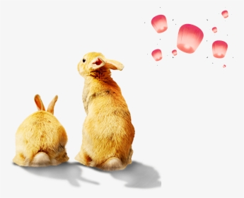 Vector Rabbit Mascot - Rabbit, HD Png Download, Transparent PNG