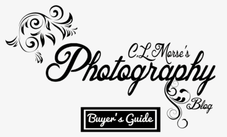 Morse S Photography Buyer S Guide - Floral Design, HD Png Download, Transparent PNG