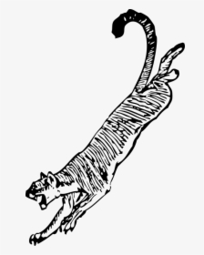 Tiger, Jumping, Attacking, Attacker, Dangerous, Animals - Cougar Clip Art, HD Png Download, Transparent PNG